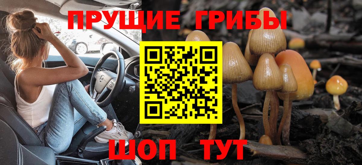 Галлюциногенные грибы Psilocybe  Вход с VPN  Зерноград  Галлюциногенные грибы прущие грибы 